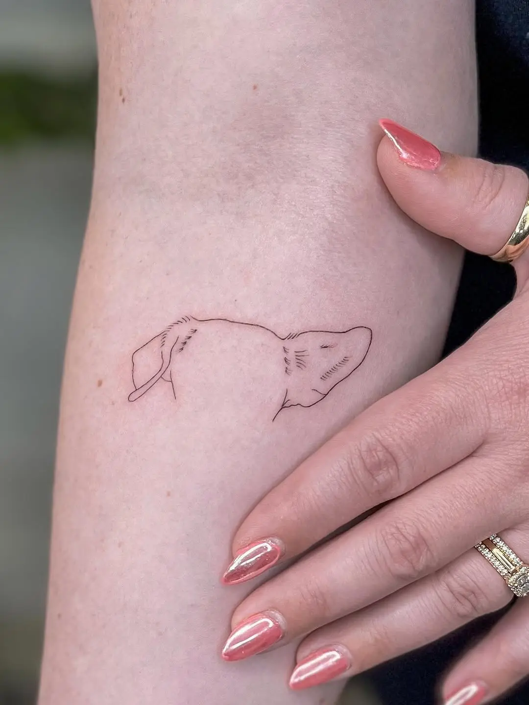 Elegant dog ear tattoo showcases minimalist beauty