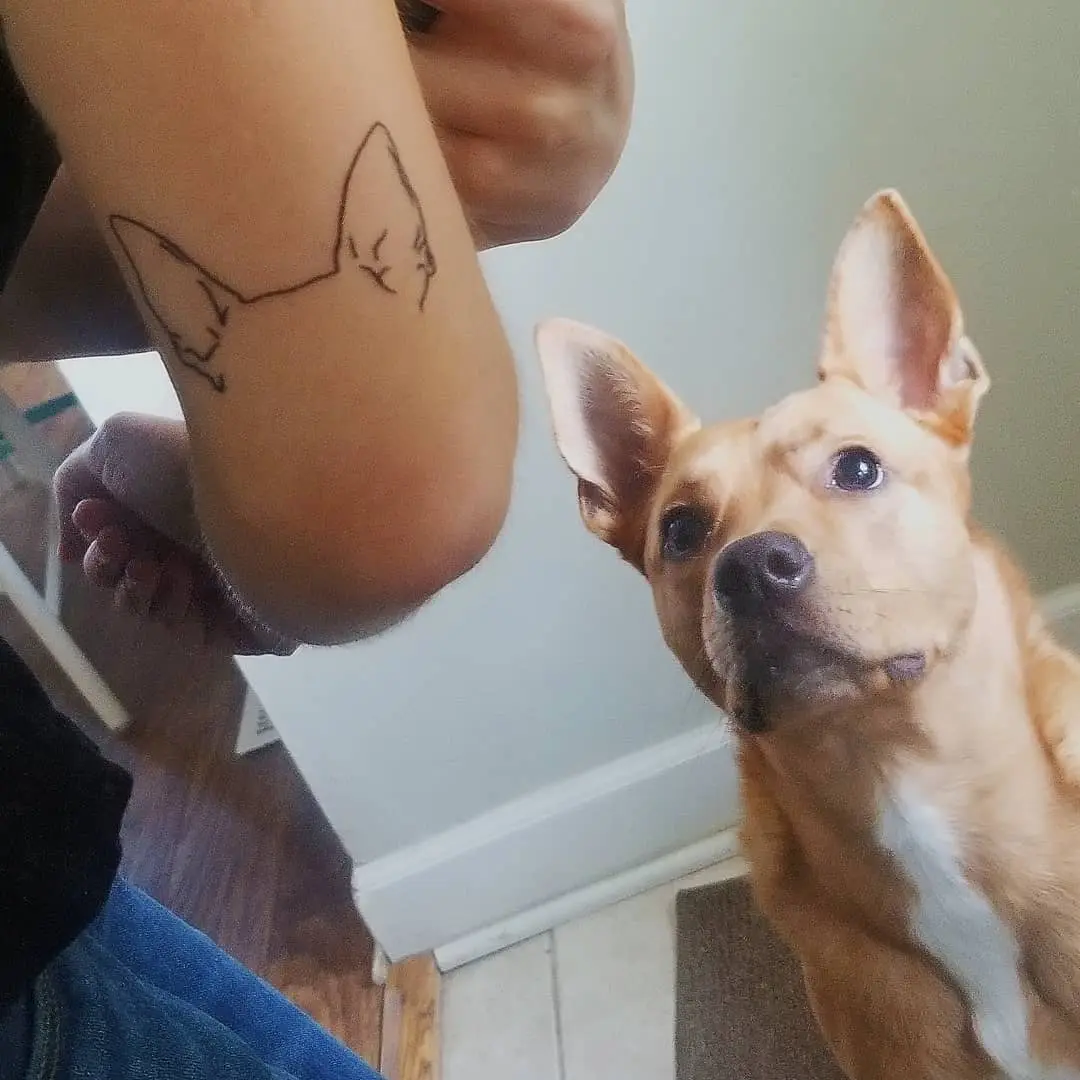 Charming dog ear tattoo on arm