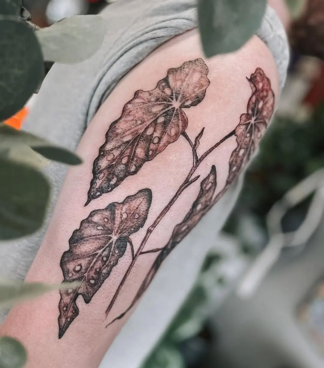 Elegant begonia leaf tattoo on the arm