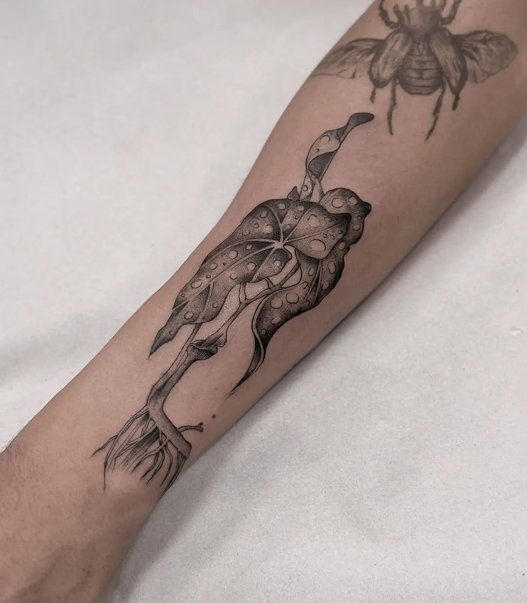 Elegant begonia tattoo with intricate details
