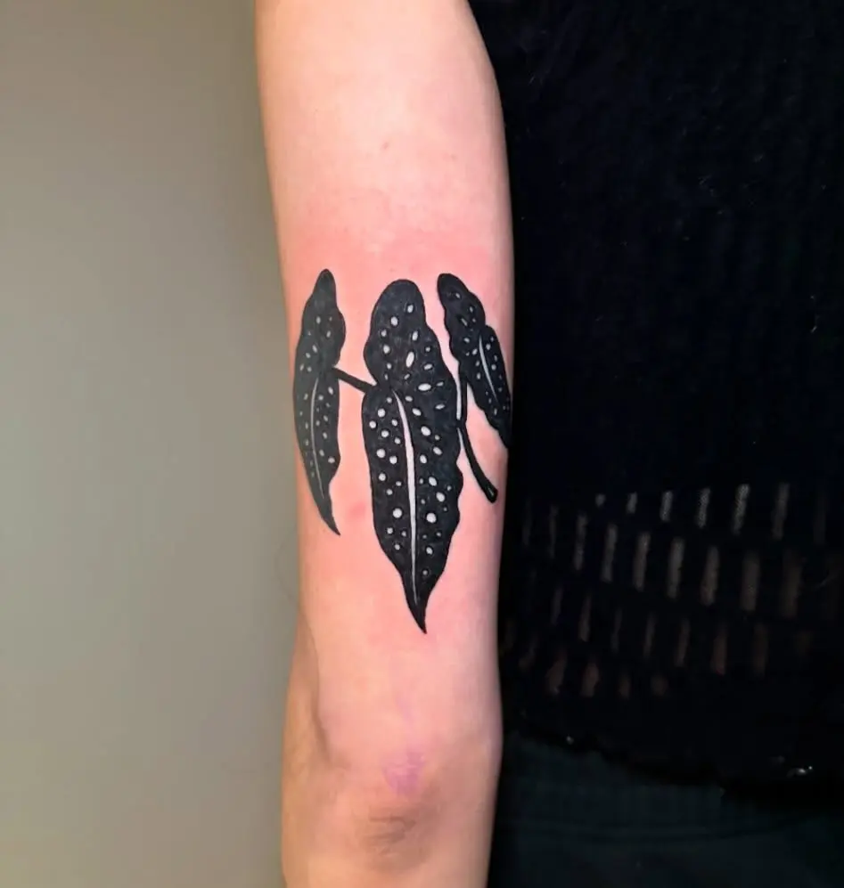 Elegant black begonia leaves tattoo on skin
