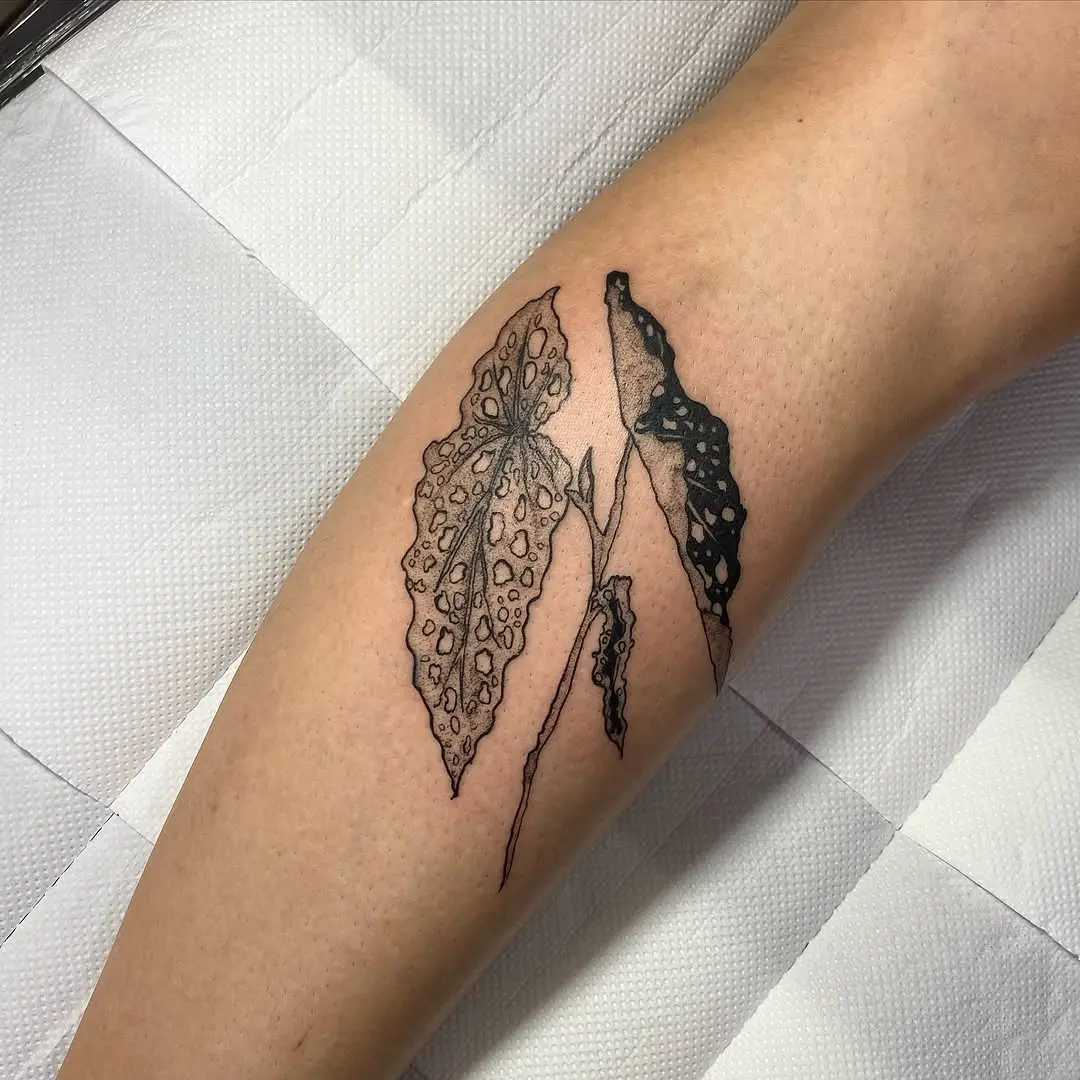 Stylish Black Line Art Begonia Tattoo