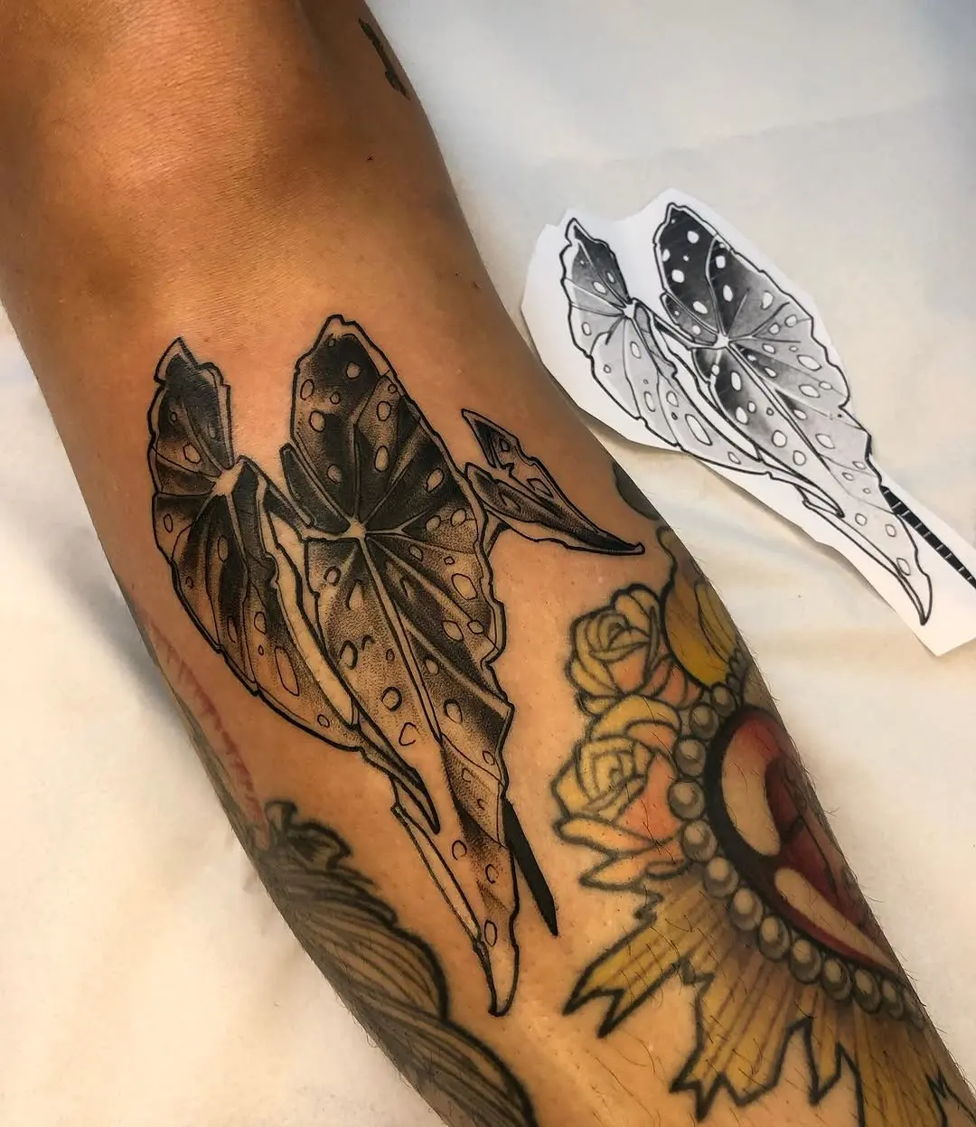 Intricate Begonia Tattoo Design with Shadows