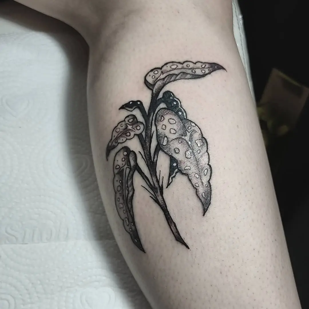 Delicate begonia tattoo with intricate shading details