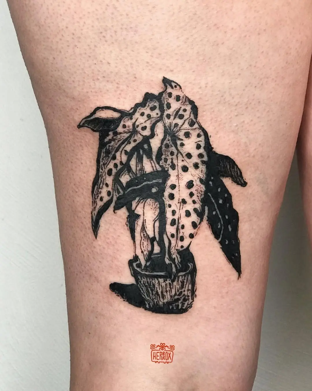 Artistic Begonia Tattoo with Detailed Leaves