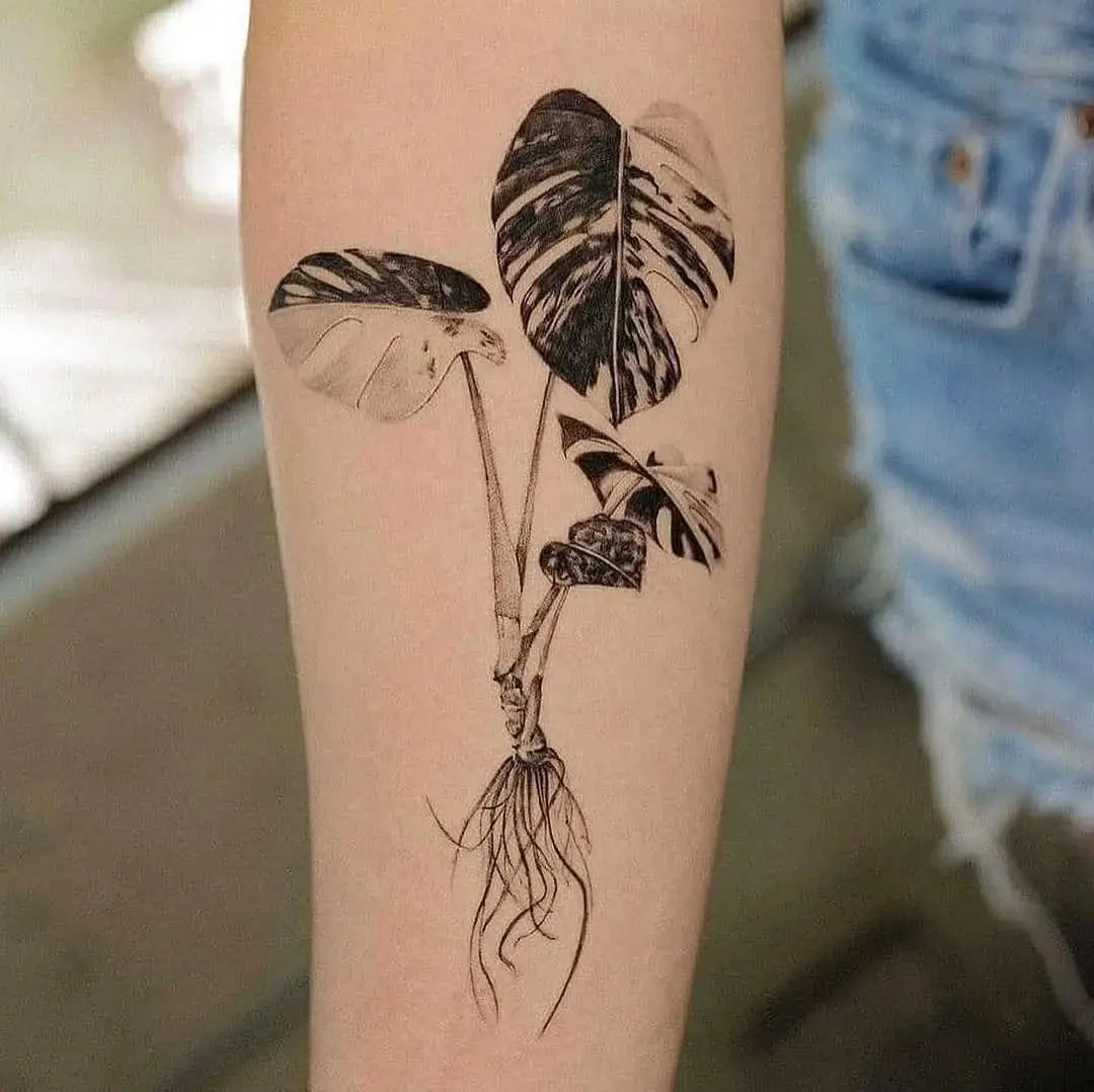 Delicate Begonia Tattoo Perfect for Plant Lovers