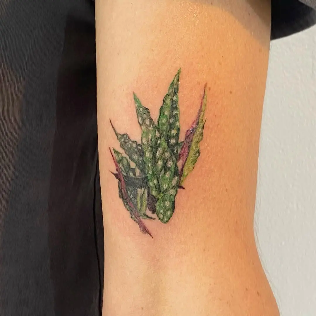 Vibrant Begonia Tattoo with Lush Greenery