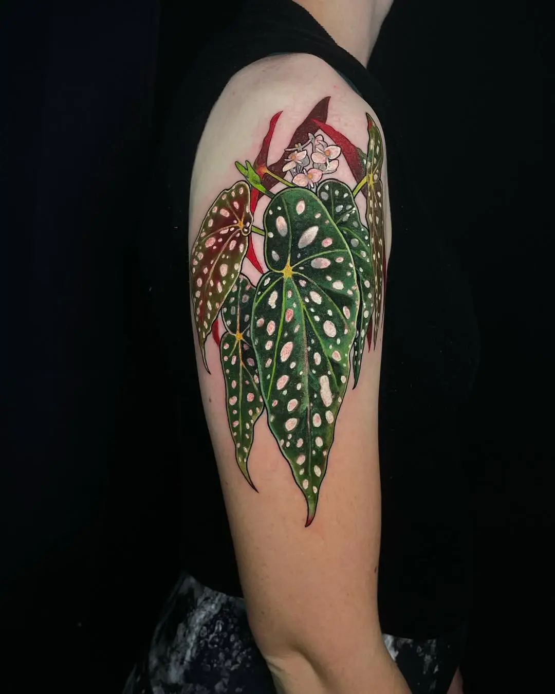 Stunning begonia tattoo with vibrant colors
