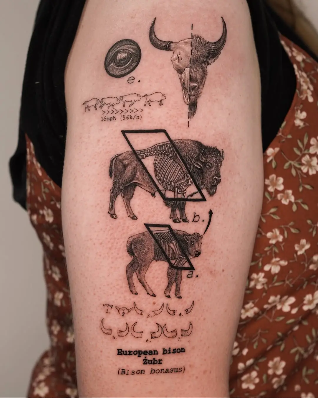 Intricate Bison Illustration Tattoo for Nature Lovers