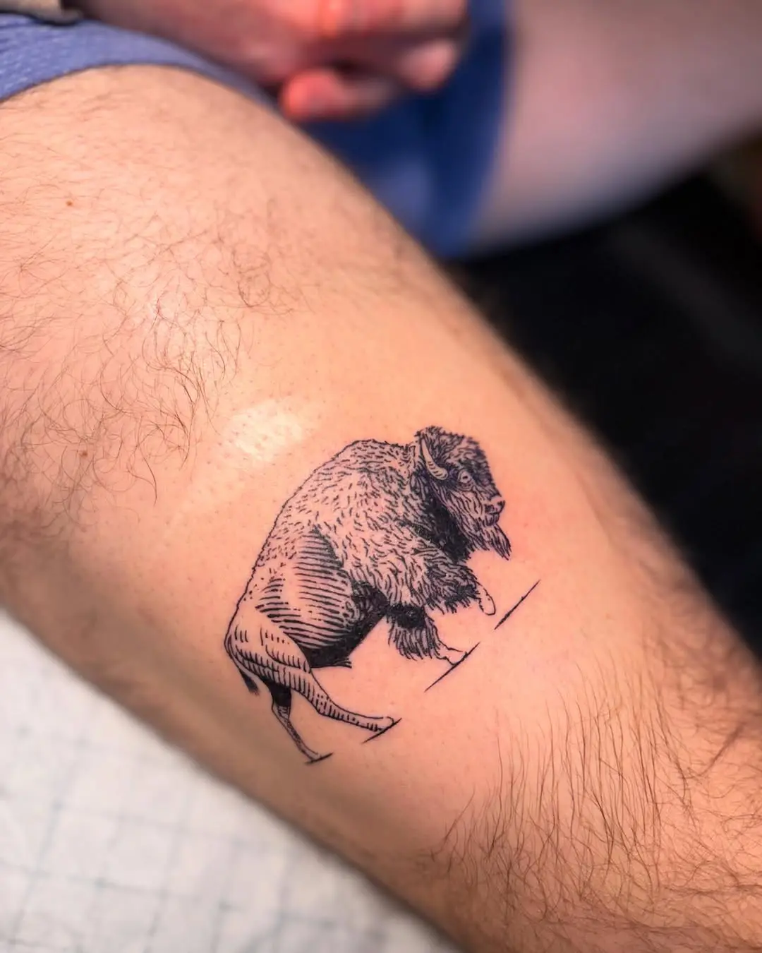 Realistic bison tattoo on leg showcases strength