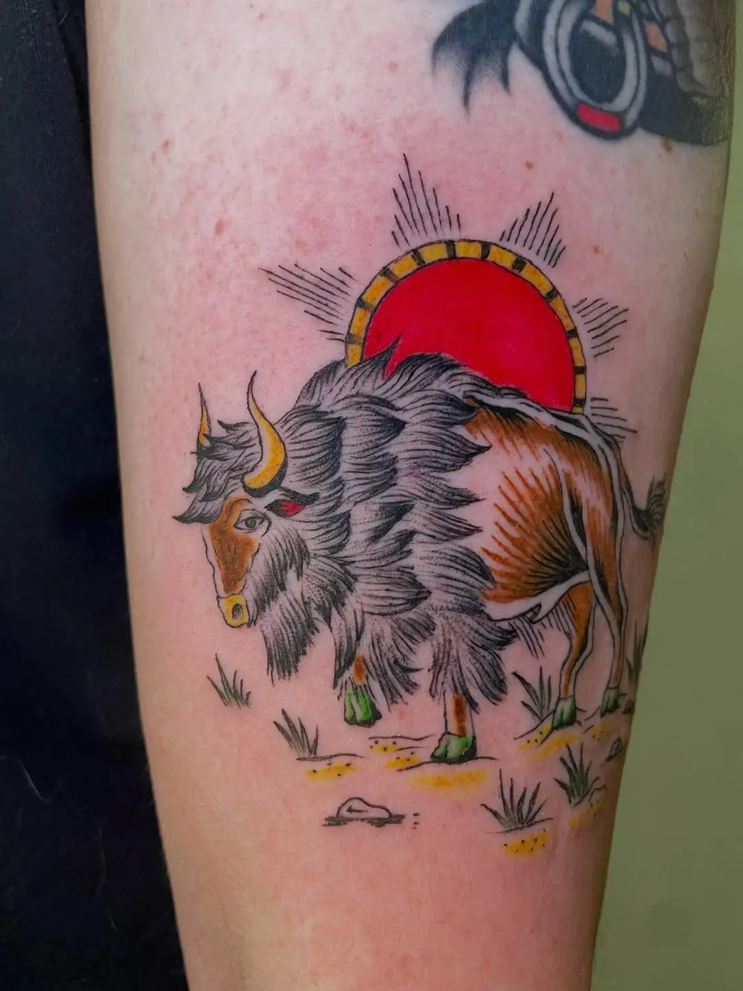 Vivid Bison Tattoo Against a Bold Sunset
