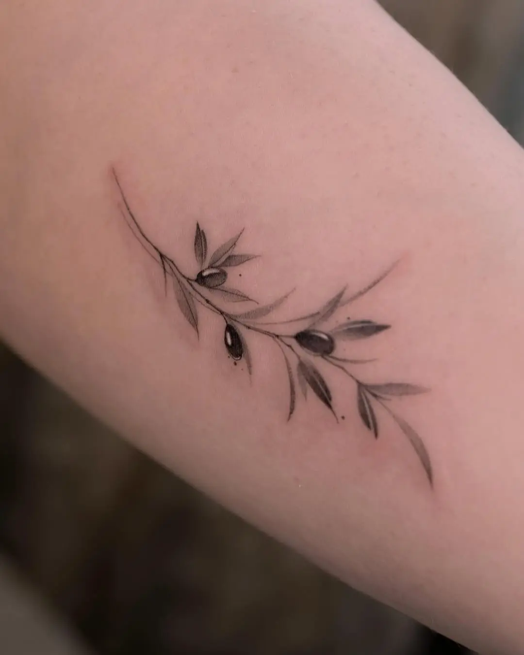 Elegant olive branch tattoo with delicate leaves