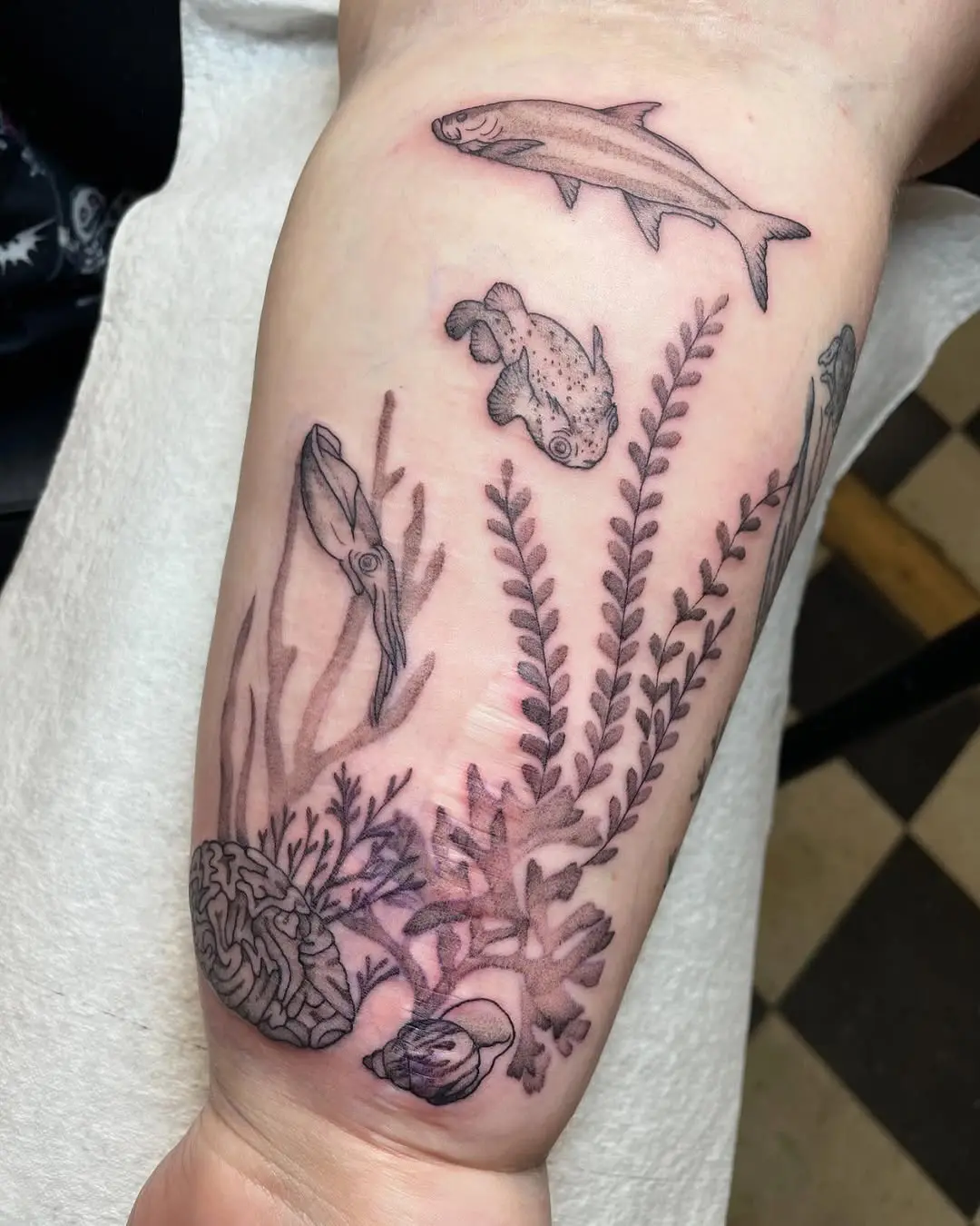 Vibrant marine life in stunning ink artistry
