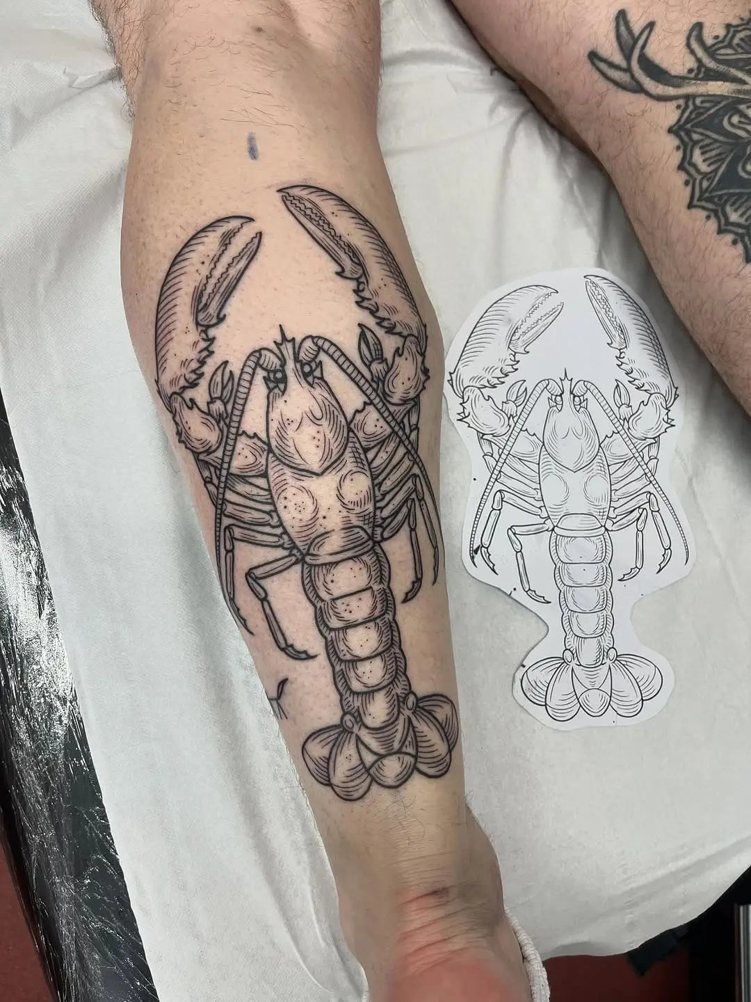 Bold lobster tattoo design on forearm