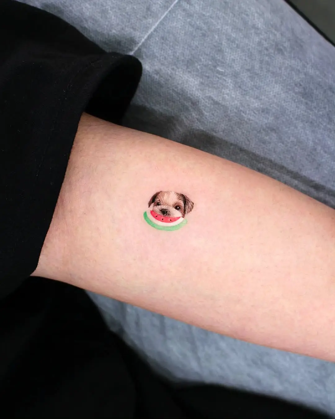 Adorable pup in a watermelon slice tattoo