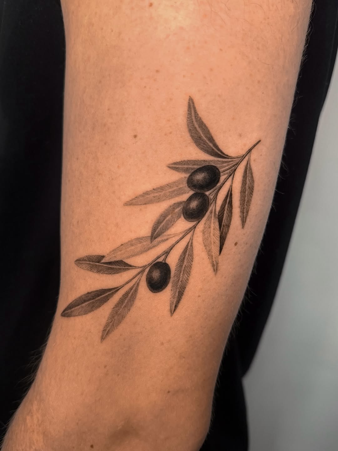 Artful olive branch tattoo on the forearm