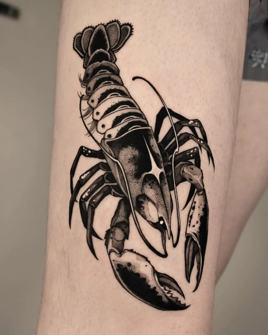 Intricate black and gray lobster tattoo design