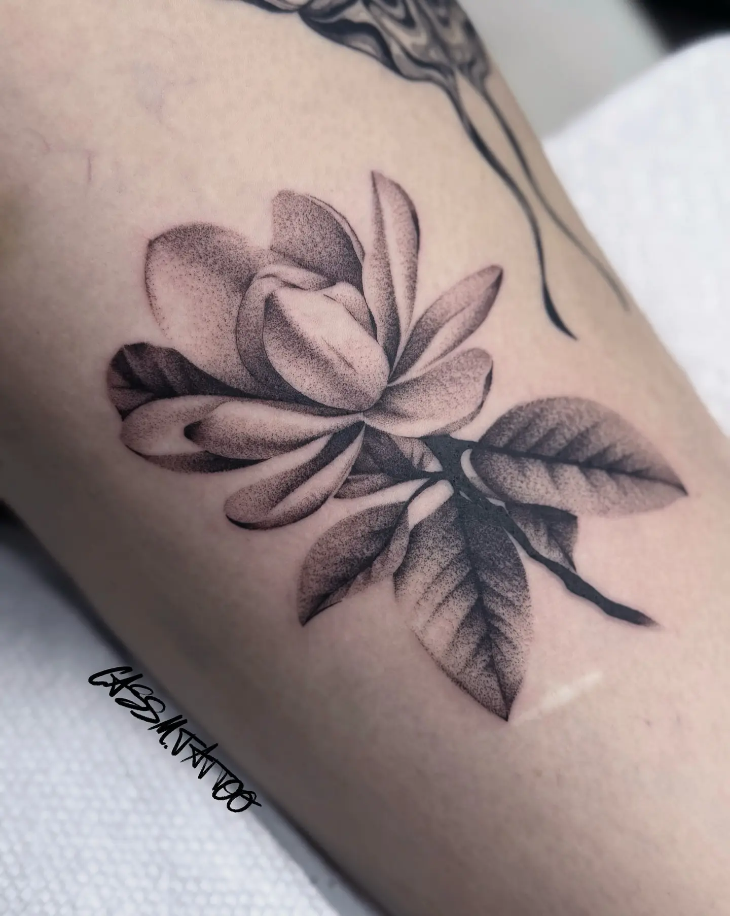 Beautiful blackwork magnolia tattoo design