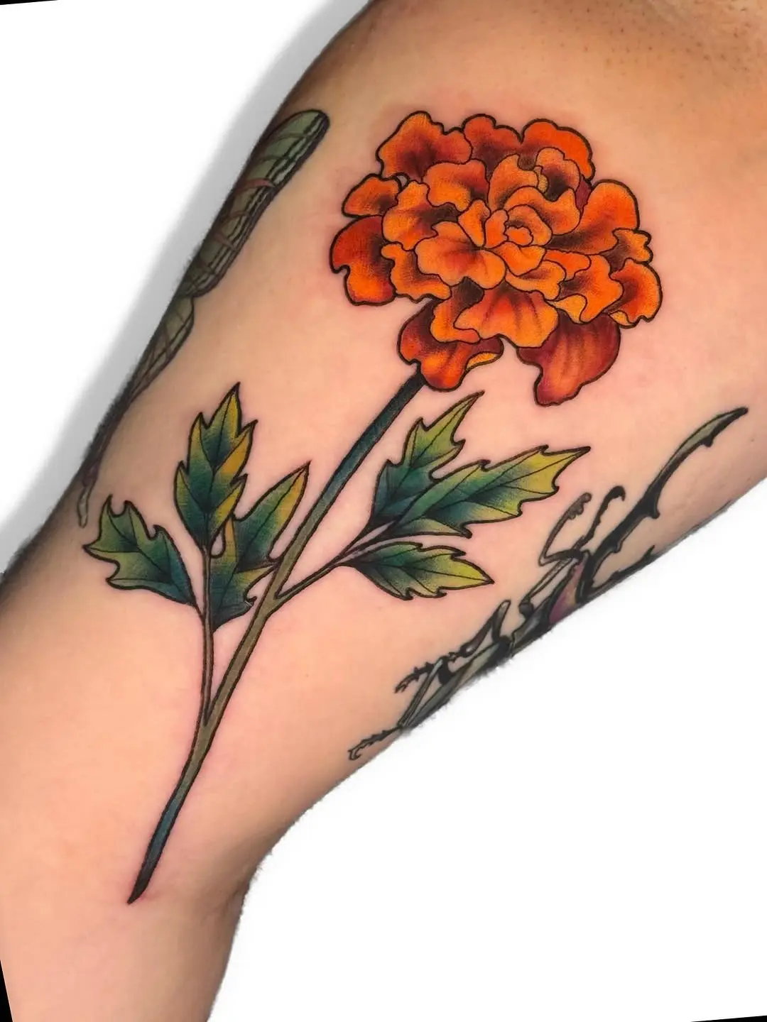 Vibrant marigold tattoo on the arm