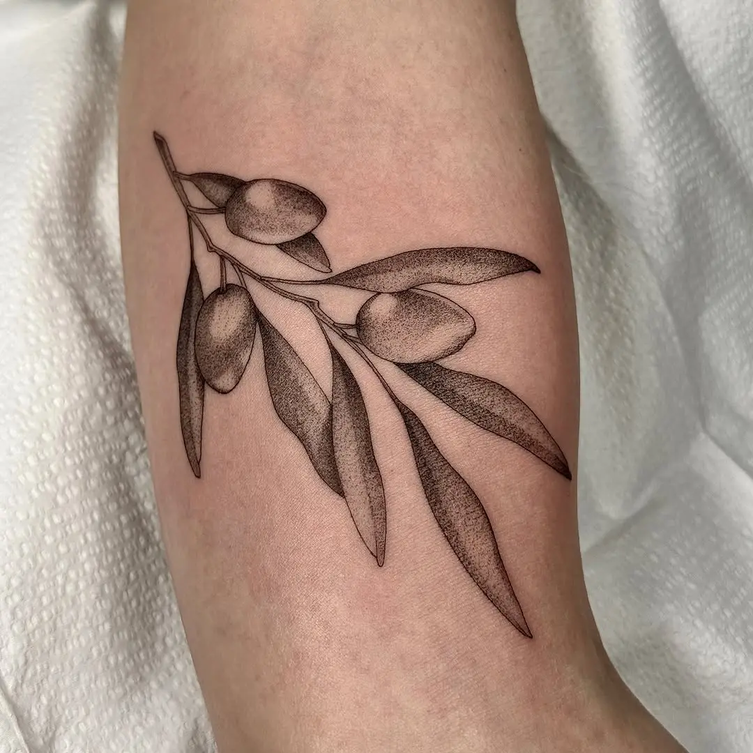 Elegant olive branch tattoo on the forearm