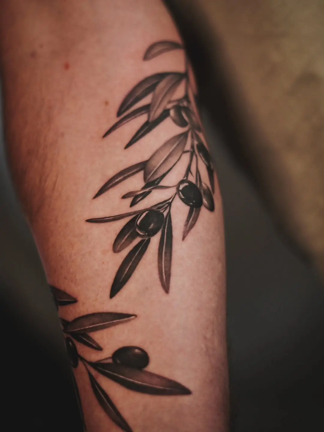 Elegant olive branch tattoo with realistic details.