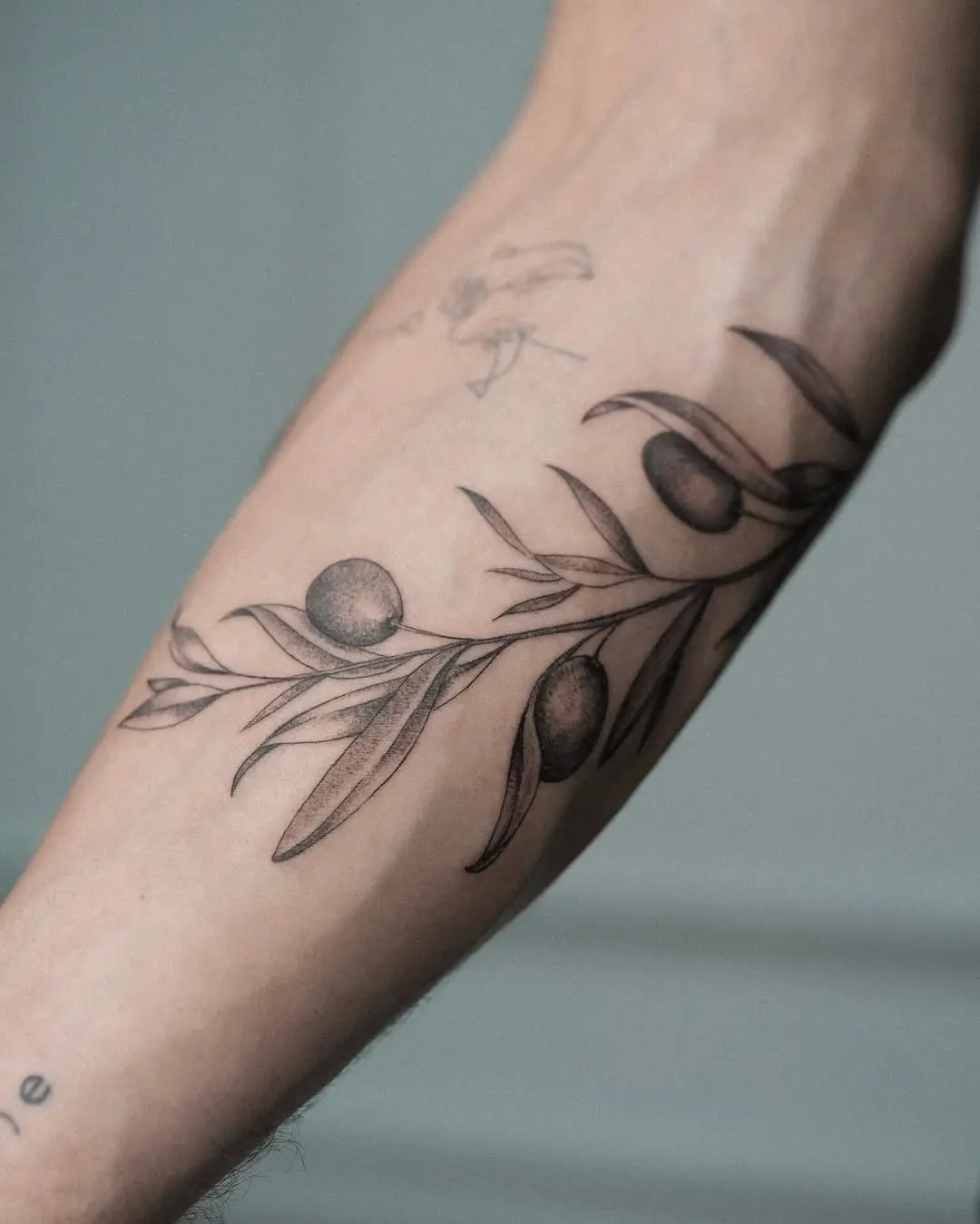 Elegant olive branch tattoo on forearm