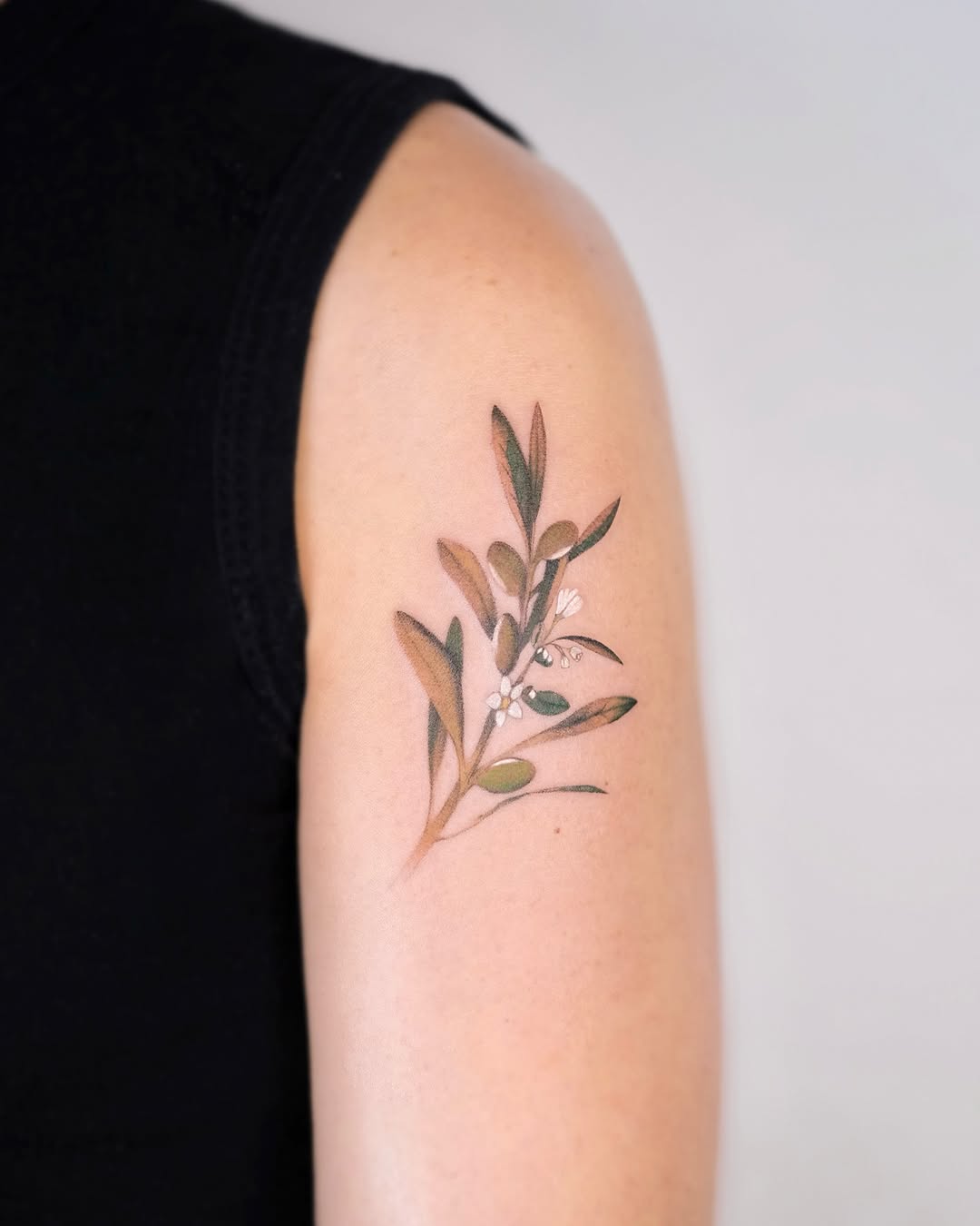 Elegant olive branch tattoo showcasing natural beauty