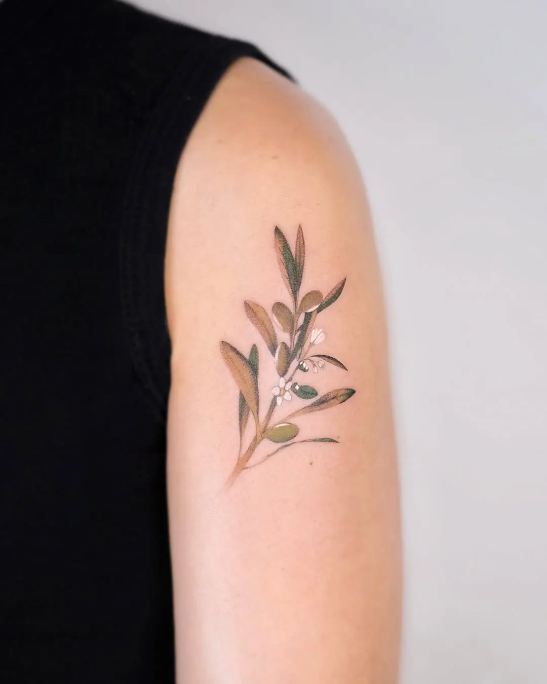 Elegant olive branch tattoo showcasing natural beauty