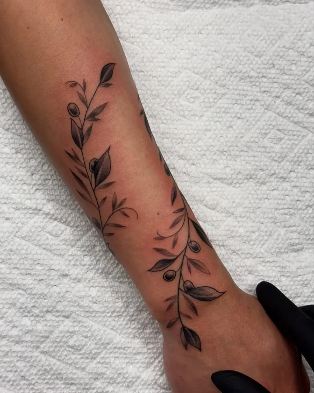 Elegant olive branch tattoo design on forearm