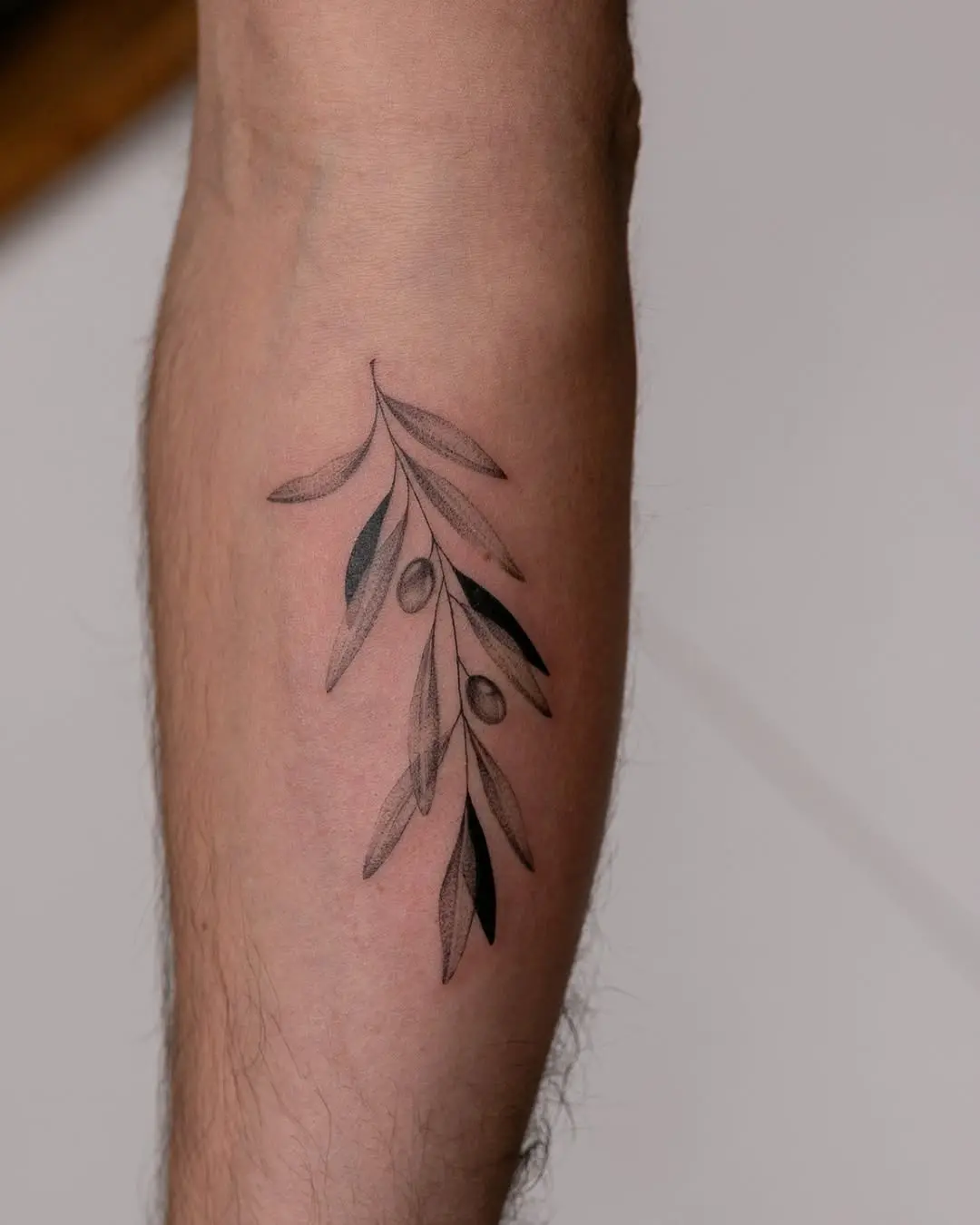 Elegant olive branch tattoo with rich symbolism