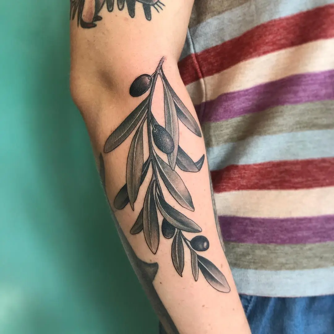 Elegant olive branch tattoo design on forearm