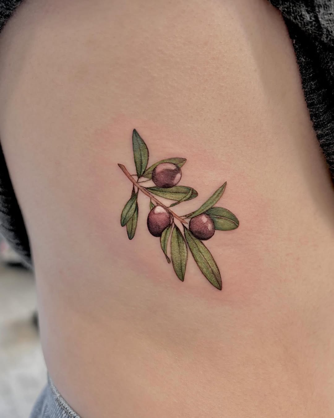 Beautifully detailed olive branch tattoo design