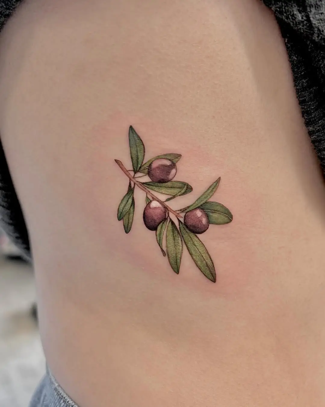 Beautifully detailed olive branch tattoo design