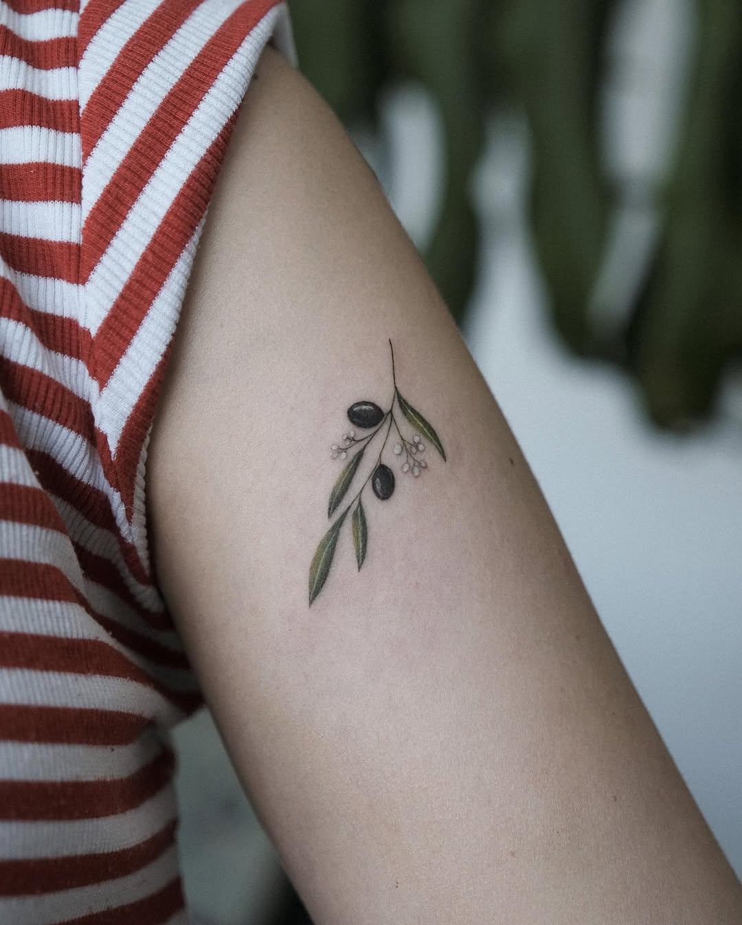 Charming Olive Branch Tattoo with Minimalist Style