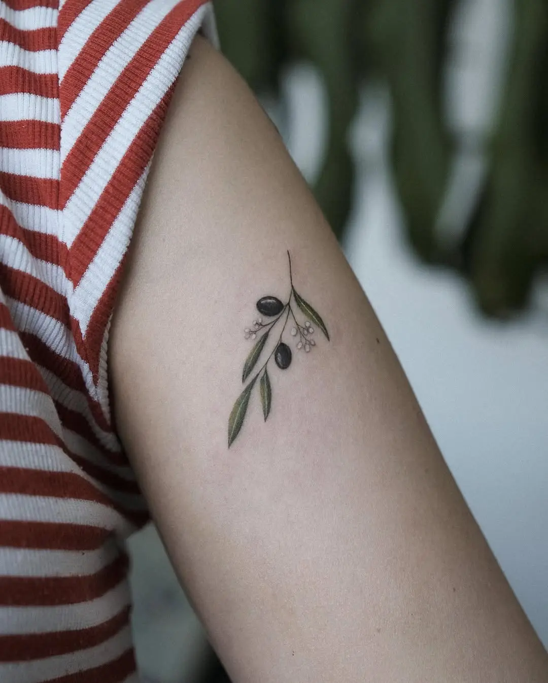 Charming Olive Branch Tattoo with Minimalist Style