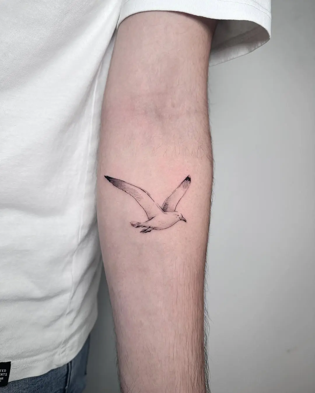 Elegant seagull tattoo soaring on skin