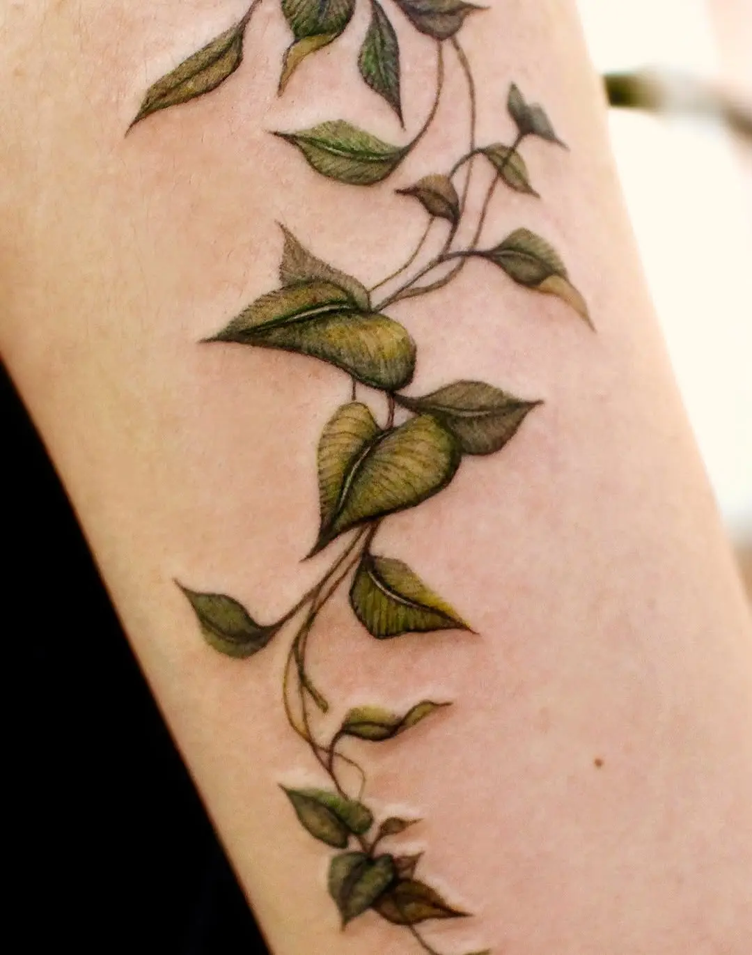 Elegant green vine tattoo on forearm