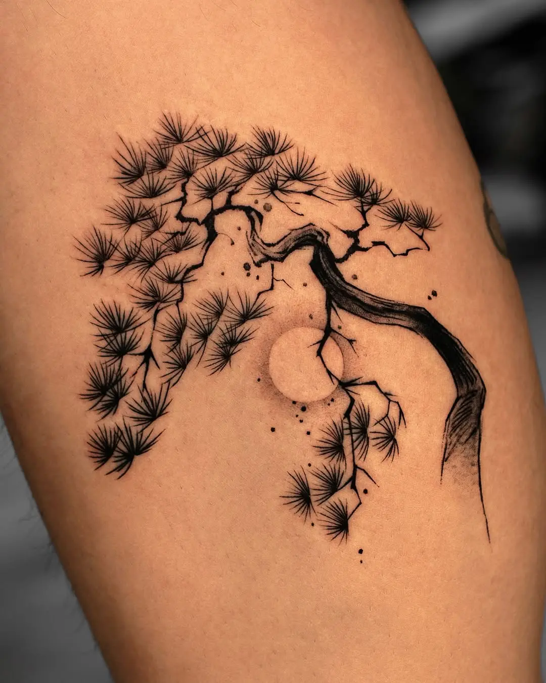 Stunning Birch Tree Ink Art for Nature Lovers