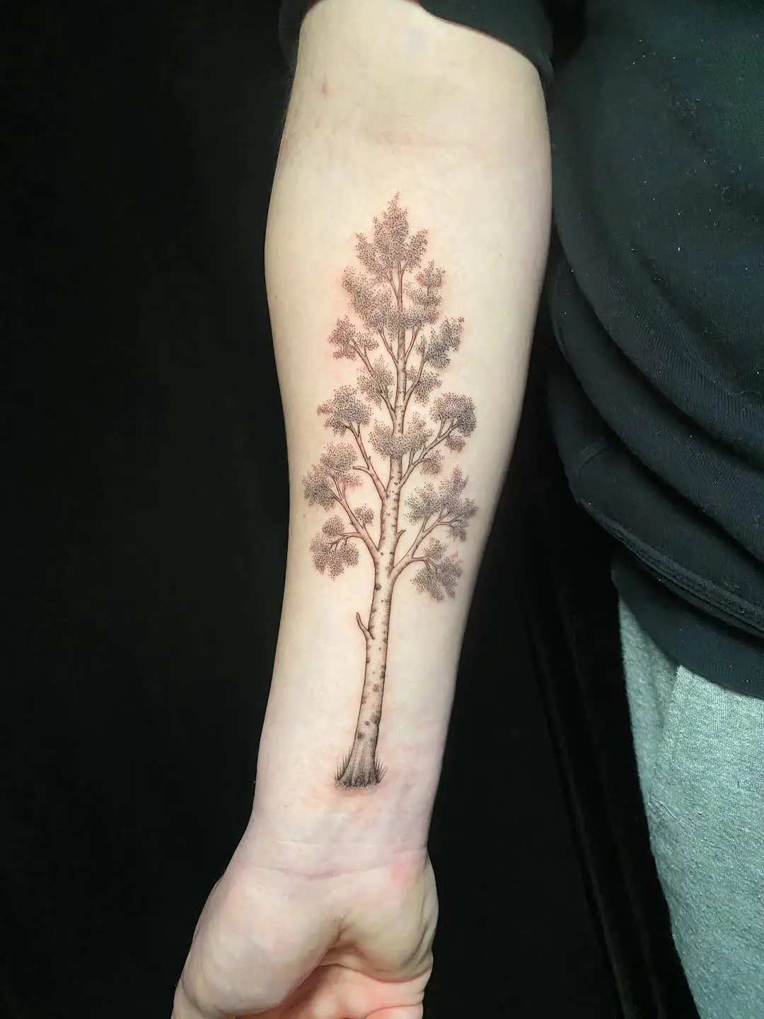 Elegant birch tree tattoo on forearm