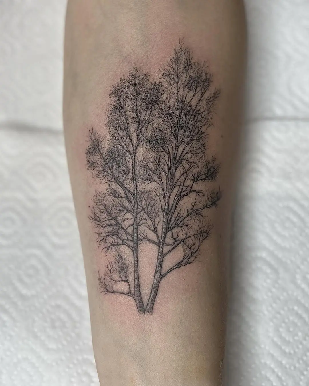 Stunning birch tree tattoo in black ink
