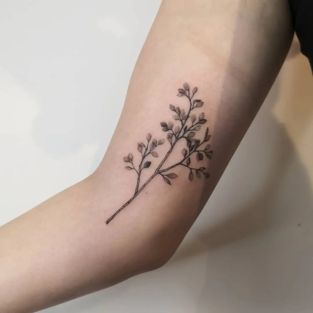 Minimalist birch tree branch tattoo design on arm