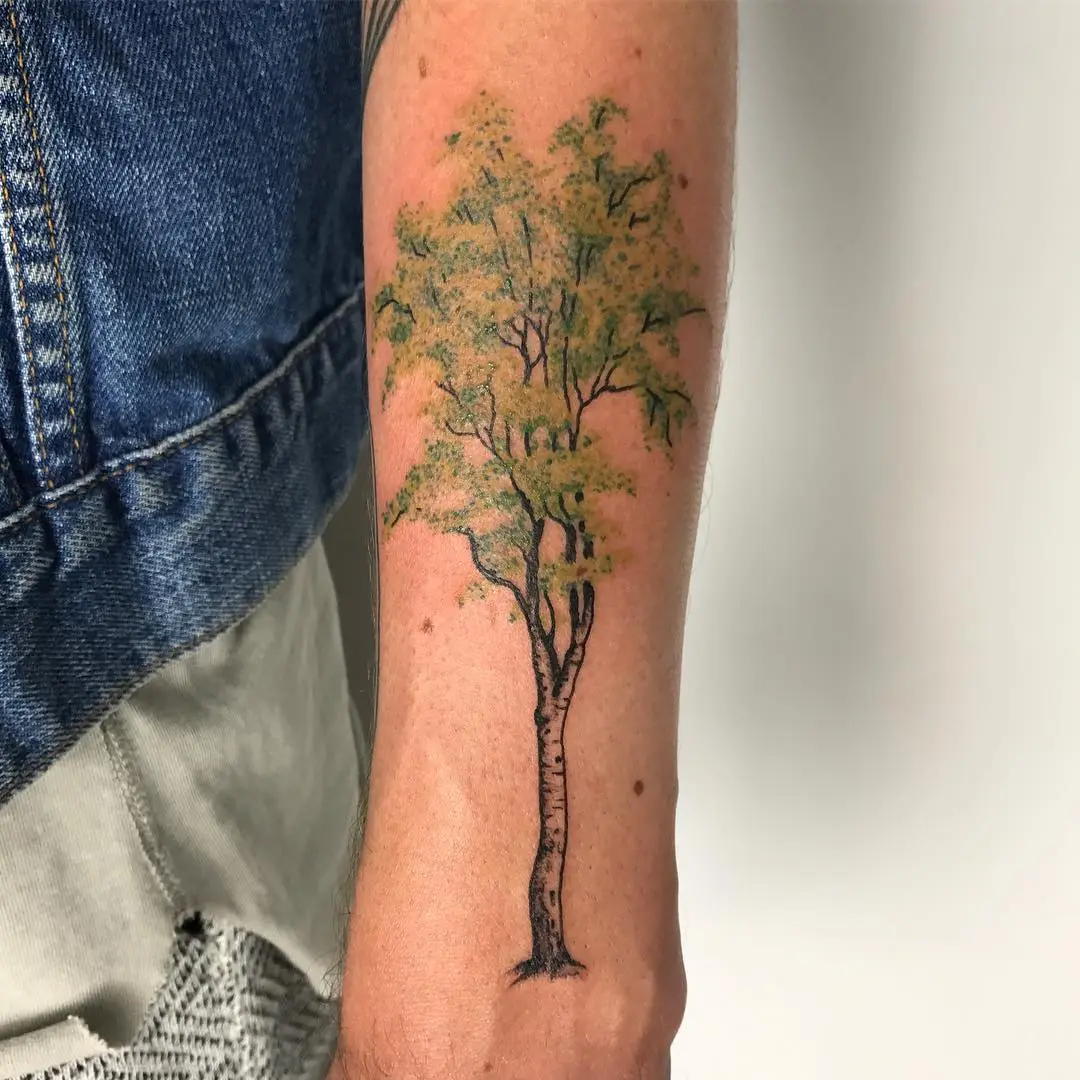 Elegant birch tree tattoo on the arm