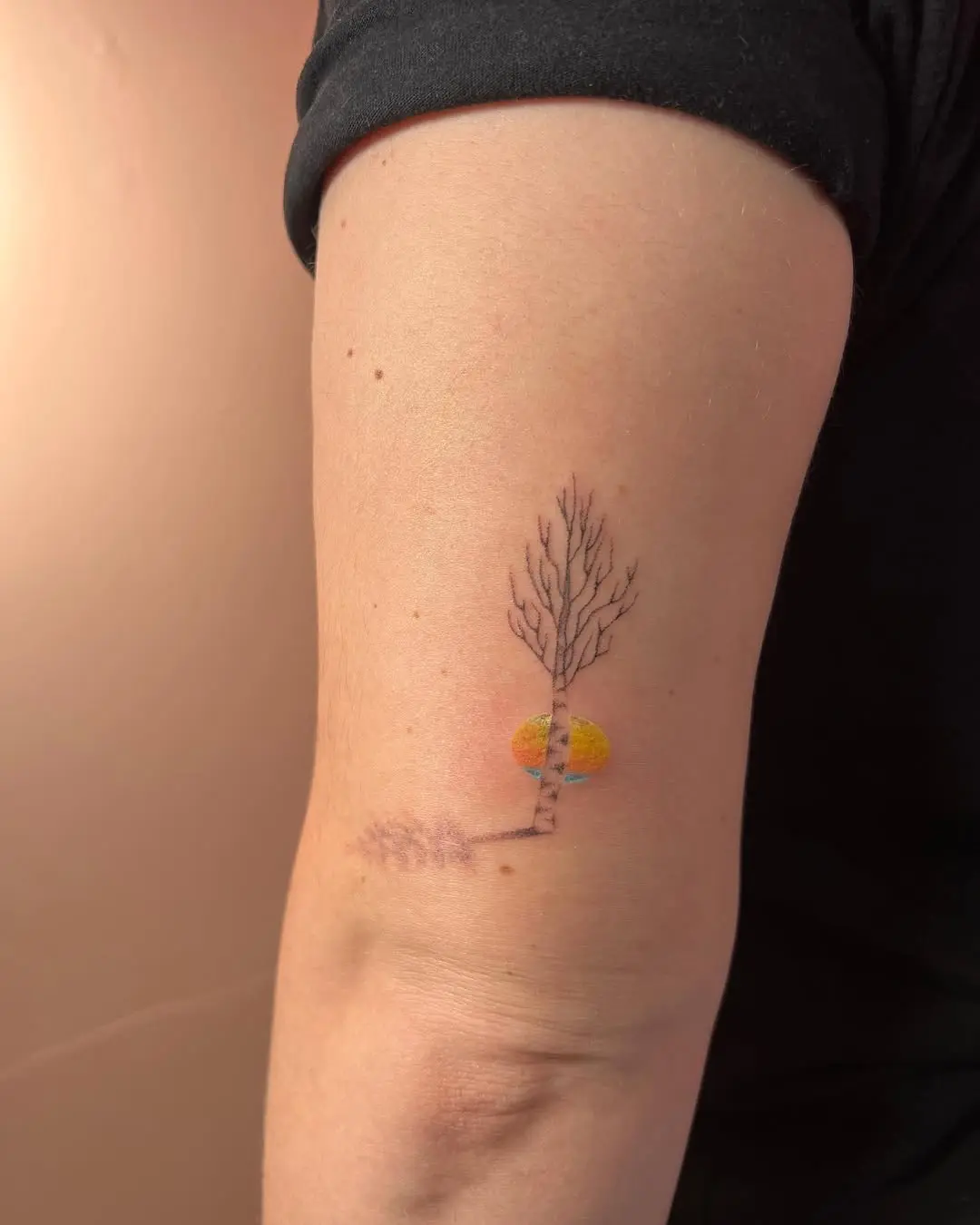 Elegant Birch Tree Tattoo with Sunset Ambiance