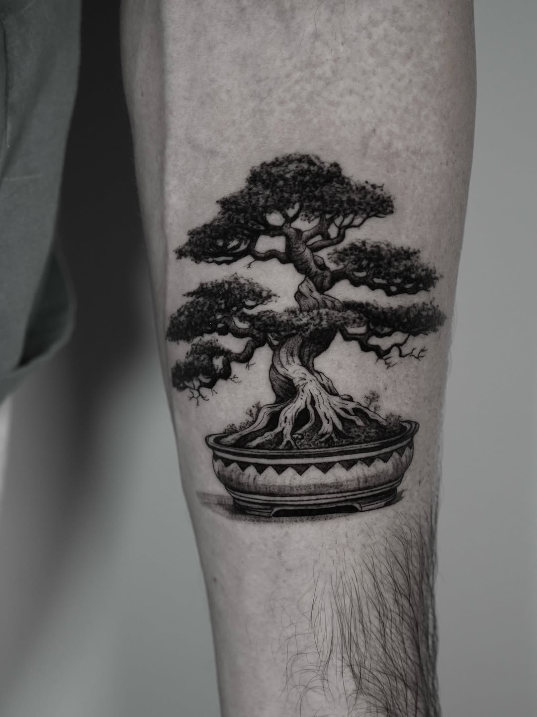 Detailed bonsai tattoo with intricate designs