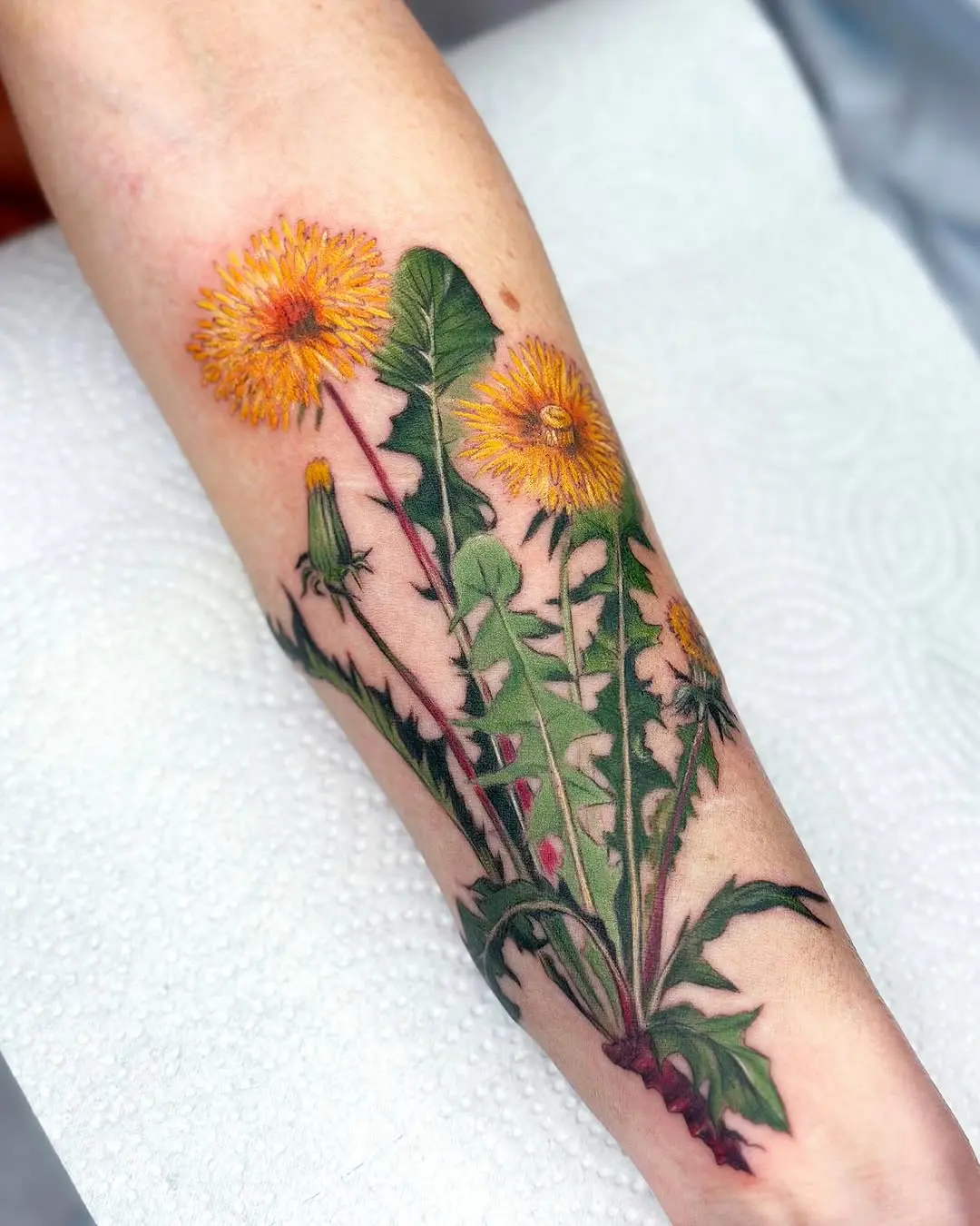 Vibrant dandelion roots tattoo showcasing nature's beauty.