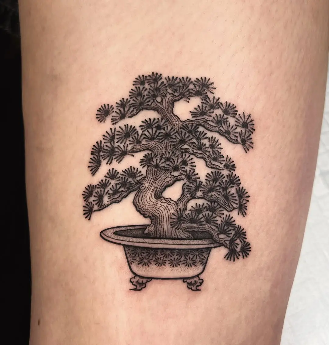 Stunning depiction of a classic bonsai tree.