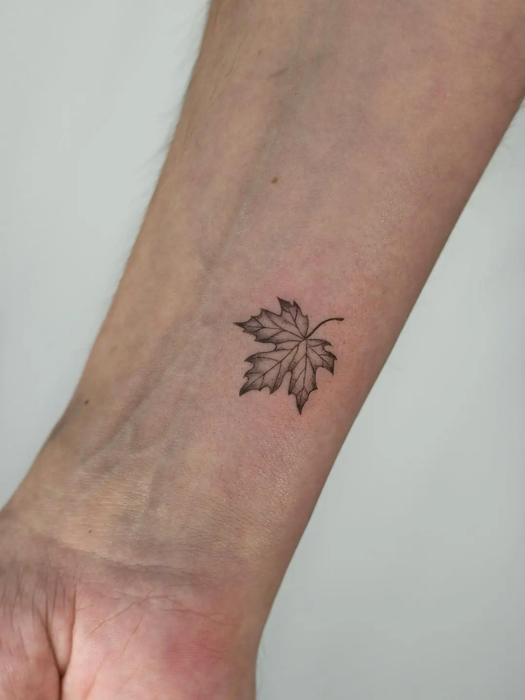 Elegant fine line maple leaf tattoo