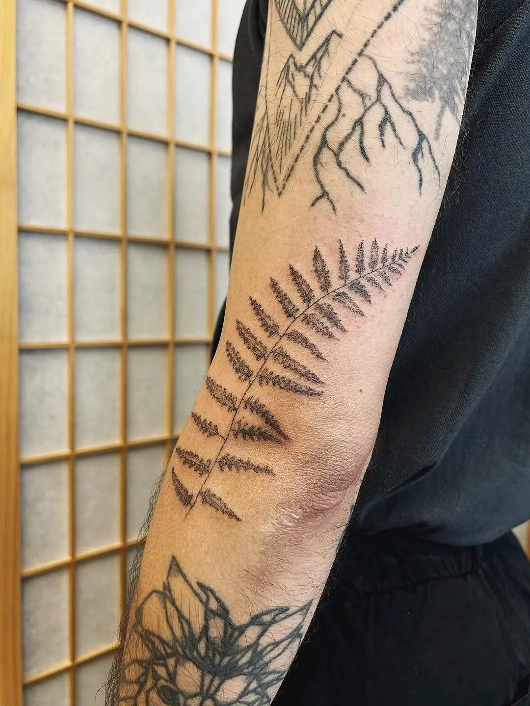 Elegant fern leaf tattoo on forearm