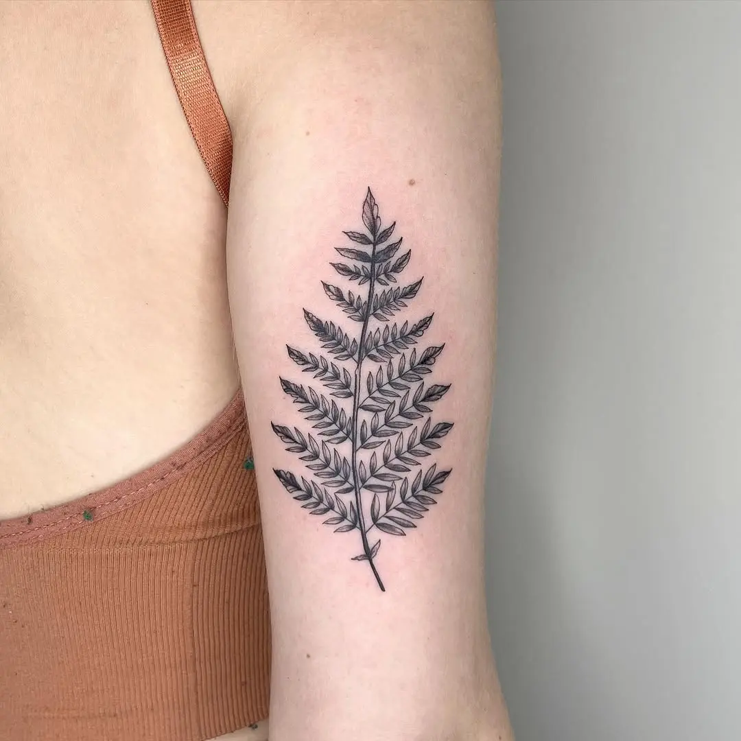 Stunning fern leaf tattoo on the arm