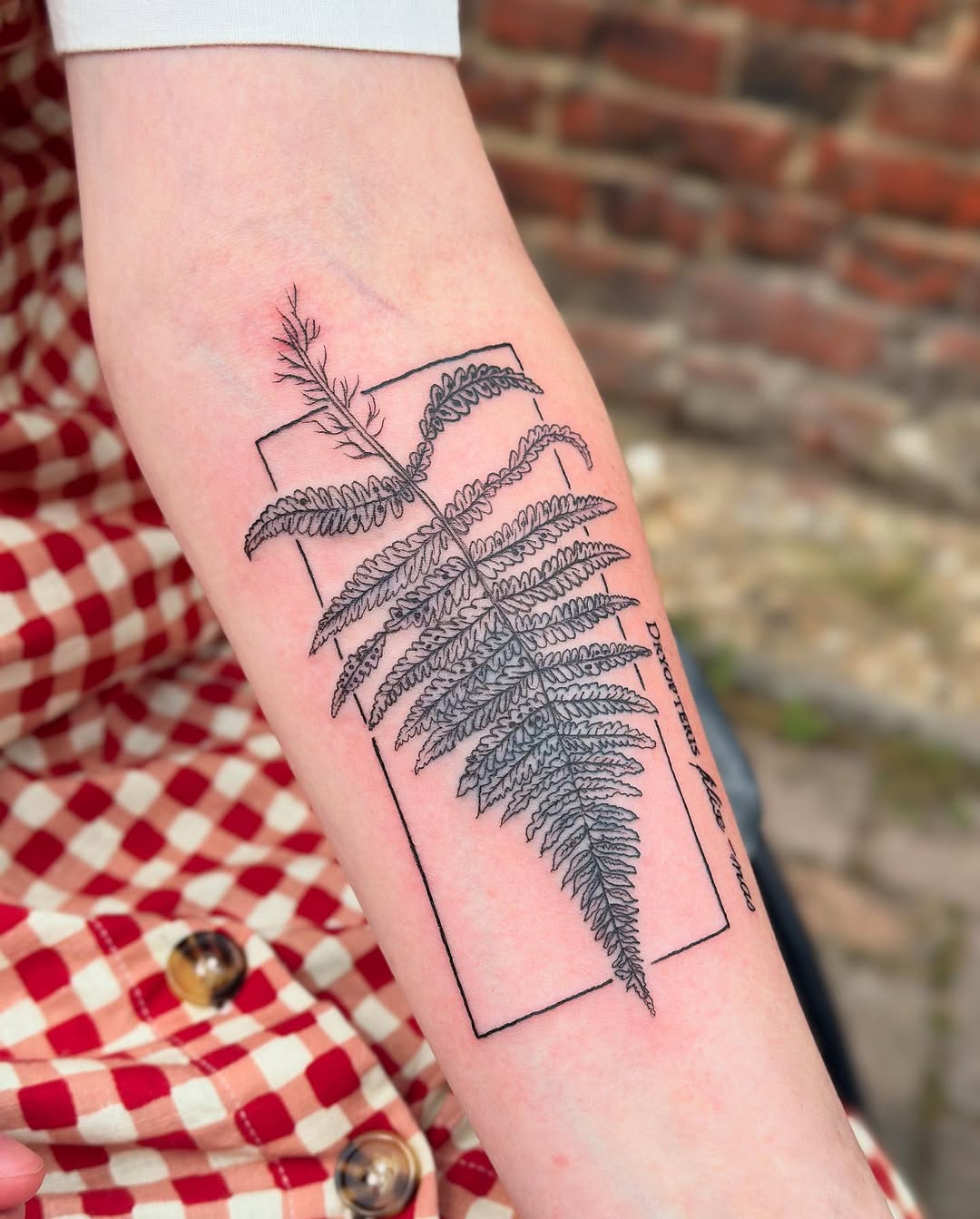 Stylish fern tattoo on the forearm